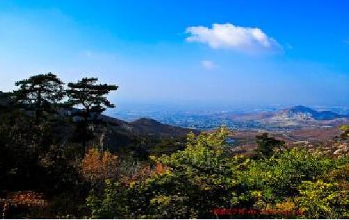 青龍林業(yè)森林防火預(yù)警方案