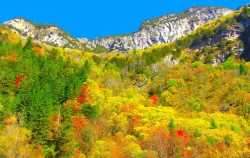 四川阿壩森林防火視頻監(jiān)控試點工程建設(shè)項目