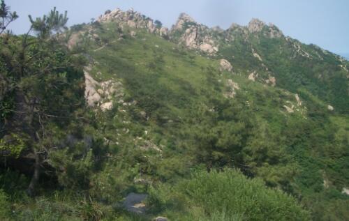 山西浮山縣林業(yè)防火預(yù)警監(jiān)控項目案例