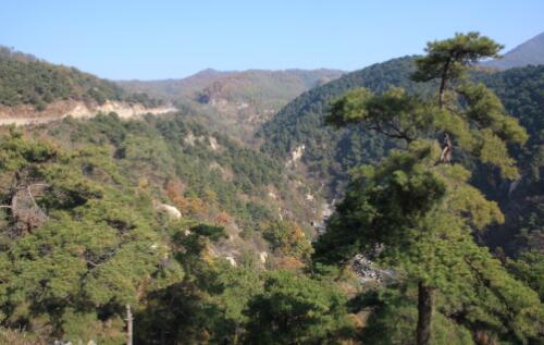 濟南林業(yè)局森林防火預(yù)警監(jiān)控系統(tǒng)案例