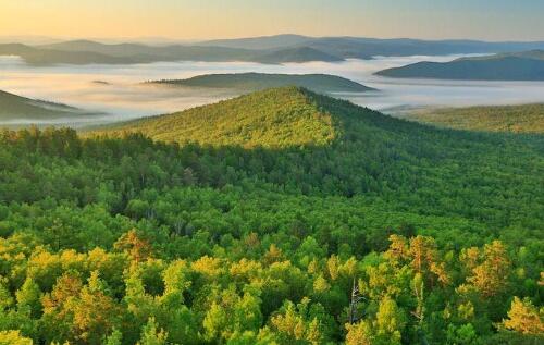 大興安嶺森林防火預(yù)警監(jiān)控設(shè)備采購項目
