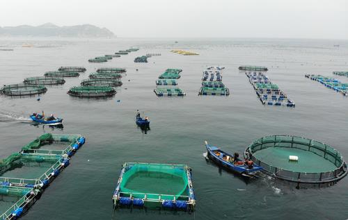 海上養(yǎng)殖場(chǎng)全天候遠(yuǎn)距離一體化數(shù)字監(jiān)控應(yīng)用